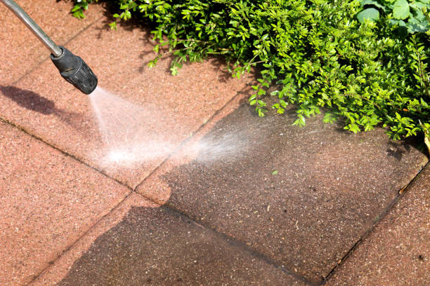 Best Pressure Washing Company Near Me  in River Ridge, FL